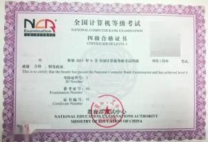 计算机网络工程 计算机四级网络工程师的核心实践领域